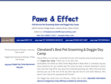 Tablet Screenshot of pawsandeffectgrooming.com